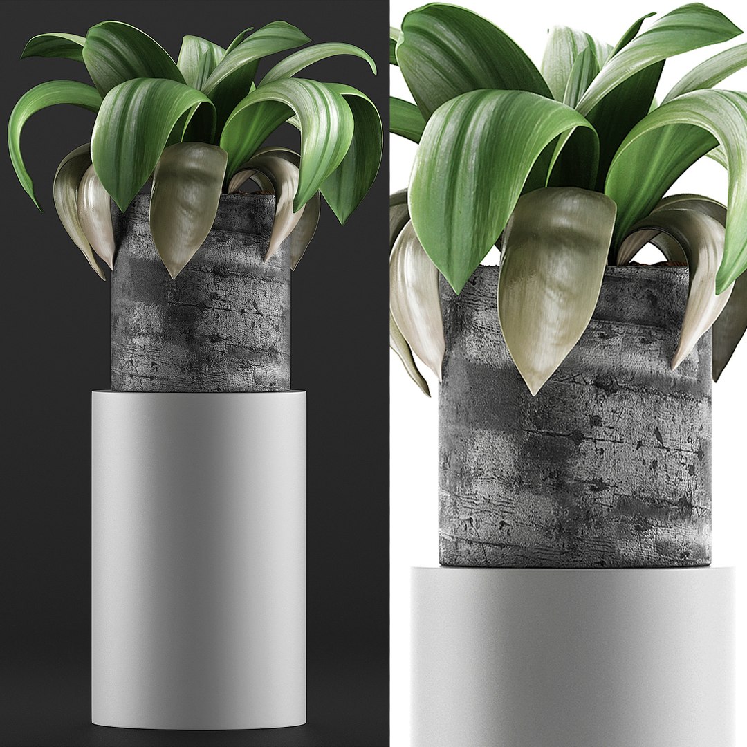 3D model exotic plants trees - TurboSquid 1623739