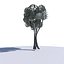 3D model Cartoon tree S2Bv3