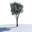 3D model Cartoon tree S2Bv3