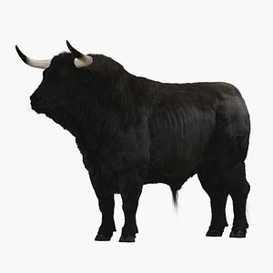 3D bull fur