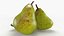 3D Pear Fruit