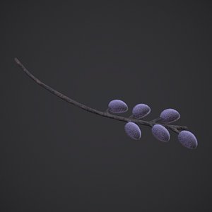 Pussy Willow Branch model