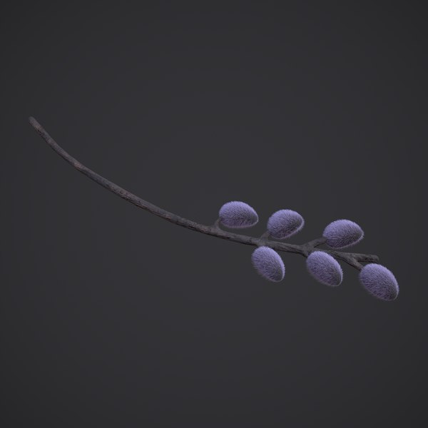 Pussy Willow Branch model