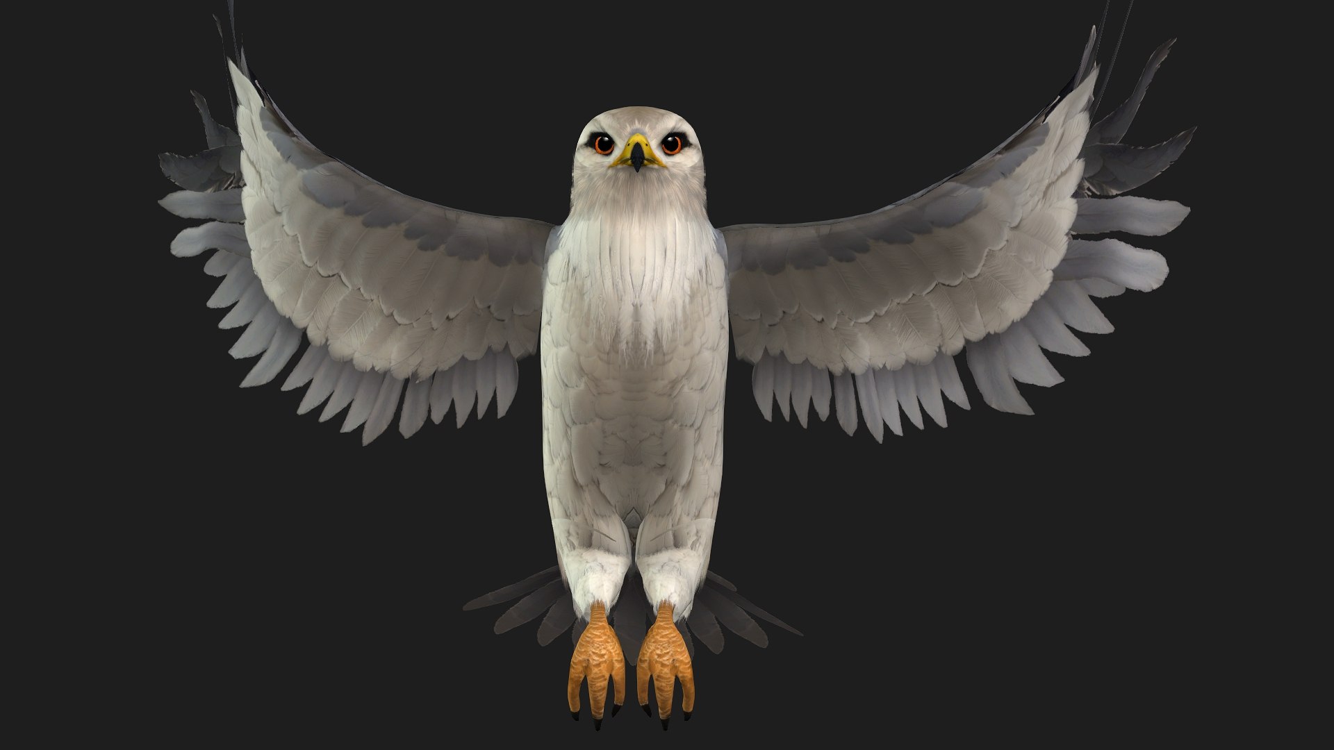 3D model Falcon-A1 https://p.turbosquid.com/ts-thumb/Rg/VINGD8/7i/preview4/jpg/1759293496/1920x1080/fit_q87/d64fbeb053cdebc67e208313c7fb6afccff2d489/preview4.jpg