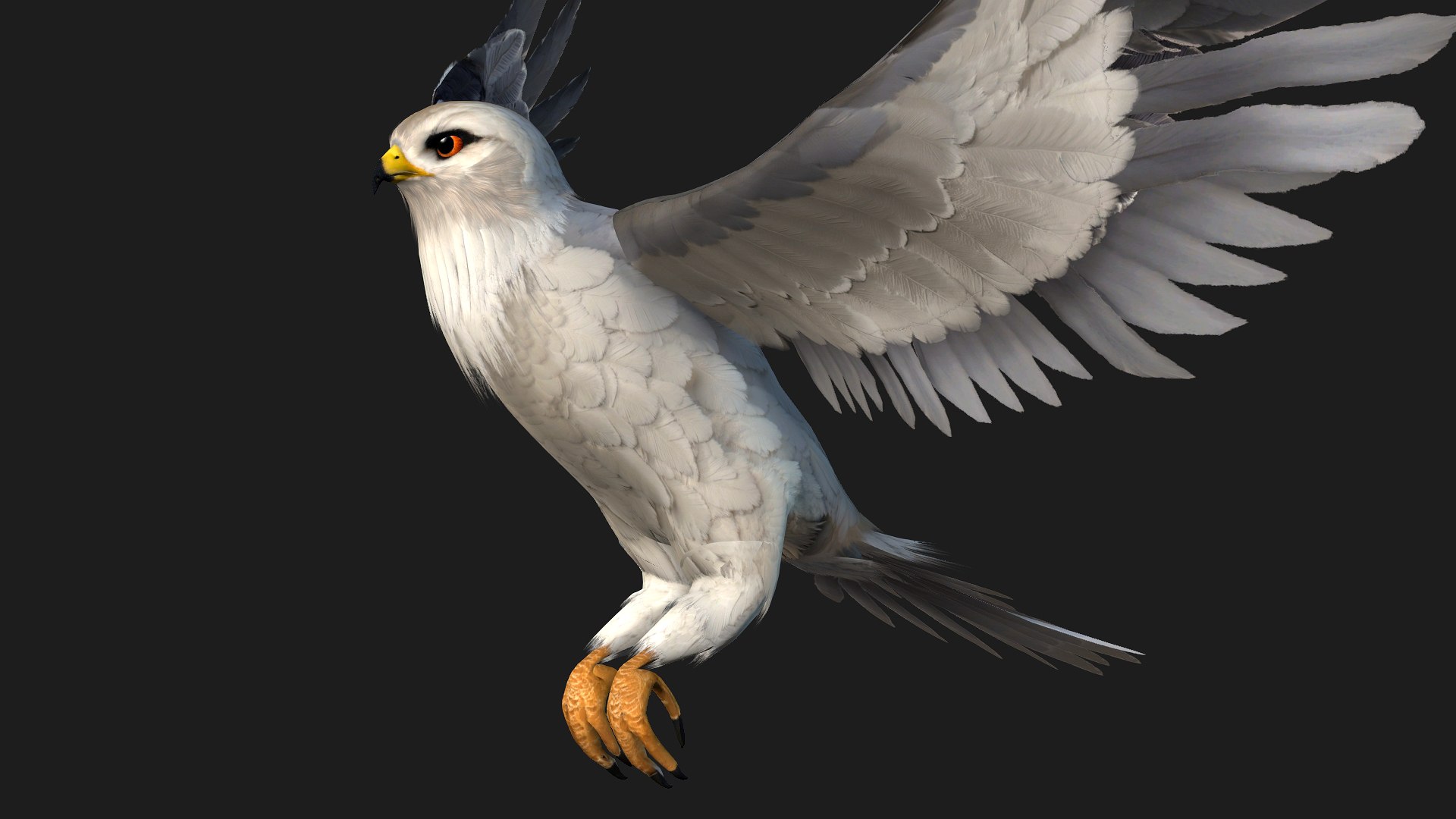 3D model Falcon-A1 https://p.turbosquid.com/ts-thumb/Rg/VINGD8/PJ/preview1/jpg/1759293494/1920x1080/fit_q87/db7a8db3f90018944d4ab3b8643991d2dcb969b2/preview1.jpg