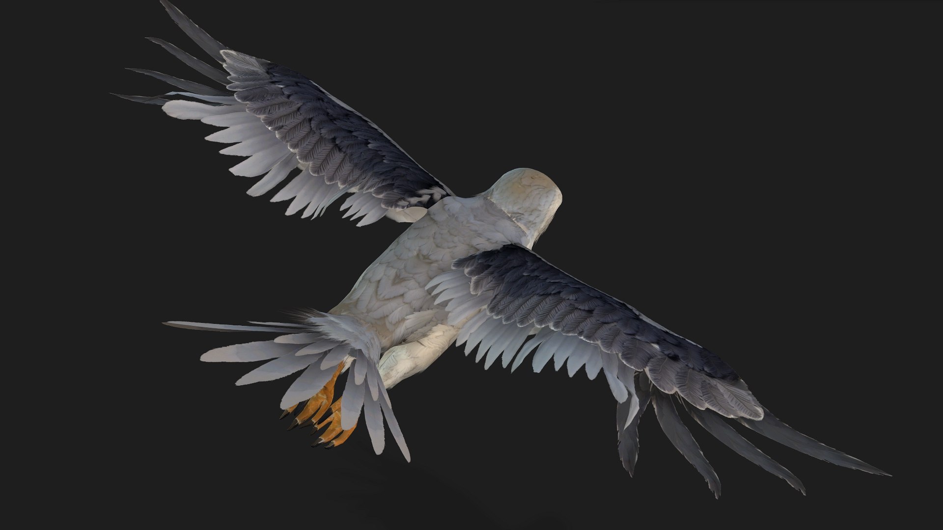 3D model Falcon-A1 https://p.turbosquid.com/ts-thumb/Rg/VINGD8/kh/preview7/jpg/1759293498/1920x1080/fit_q87/e0461080cadafea5a973631b13cf3422a9945fd8/preview7.jpg