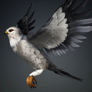 3D model Falcon-A1