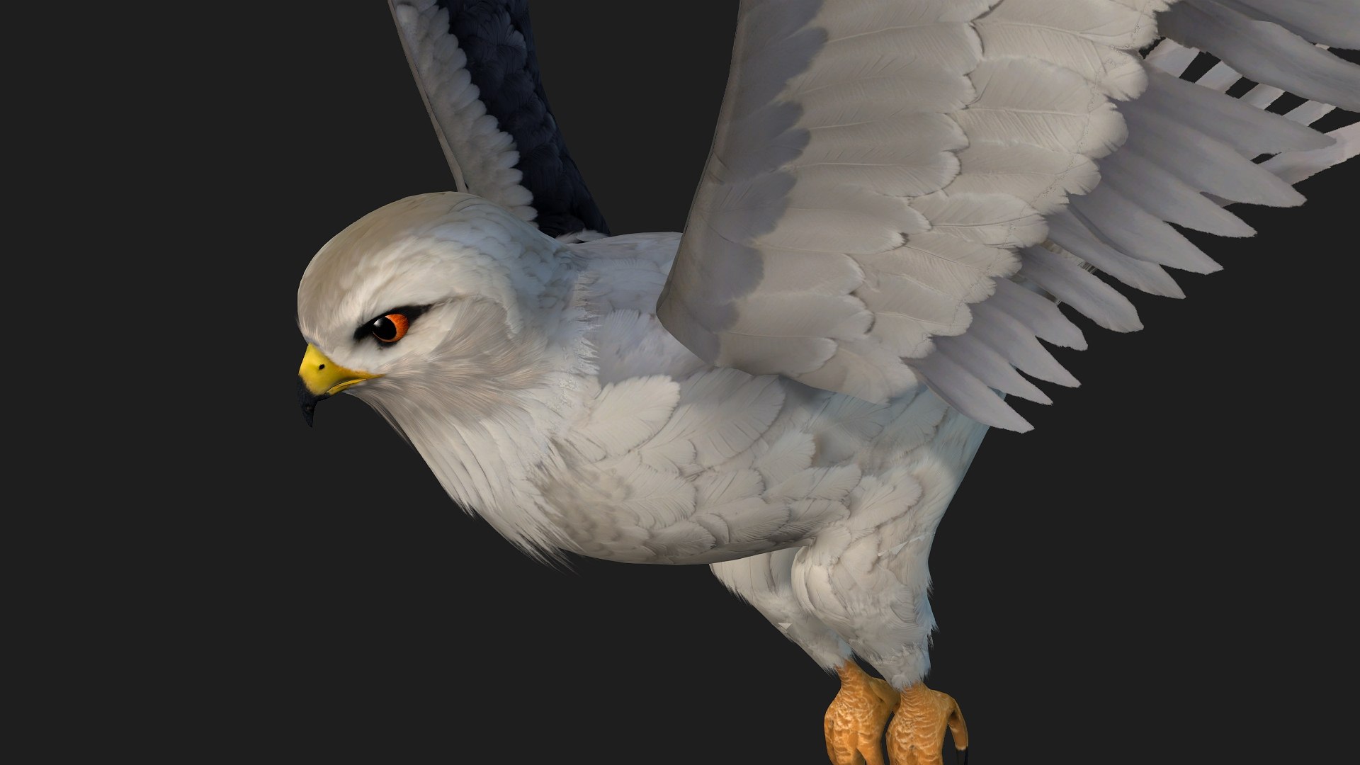 3D model Falcon-A1 https://p.turbosquid.com/ts-thumb/Rg/VINGD8/pf/preview9/jpg/1759293499/1920x1080/fit_q87/9c02da4b551bf659dc6224bc2a60215a7eeeb667/preview9.jpg