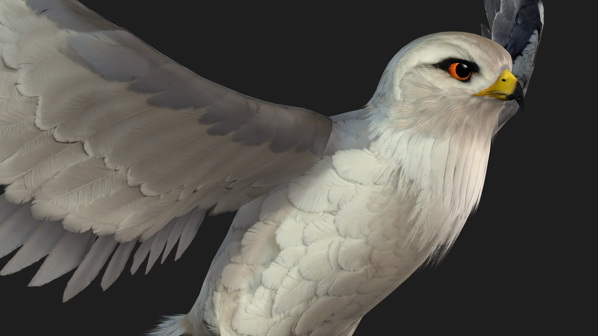 3D model Falcon-A1 https://p.turbosquid.com/ts-thumb/Rg/VINGD8/xG/preview3/jpg/1759293495/1920x1080/fit_q87/a1e43fe84d6109e9295fc2bc1eb8f3aa16e45ef8/preview3.jpg