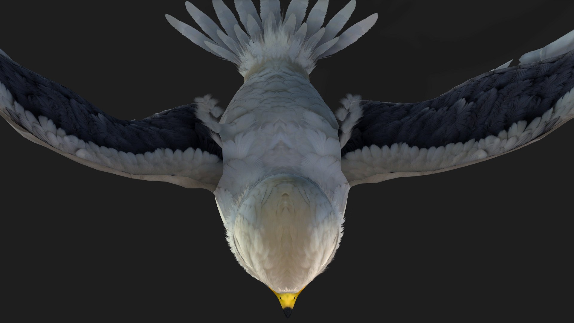3D model Falcon-A1 https://p.turbosquid.com/ts-thumb/Rg/VINGD8/zW/preview6/jpg/1759293496/1920x1080/fit_q87/1aff47f0bb7e36b3a0ded2848bc5867c5833884f/preview6.jpg