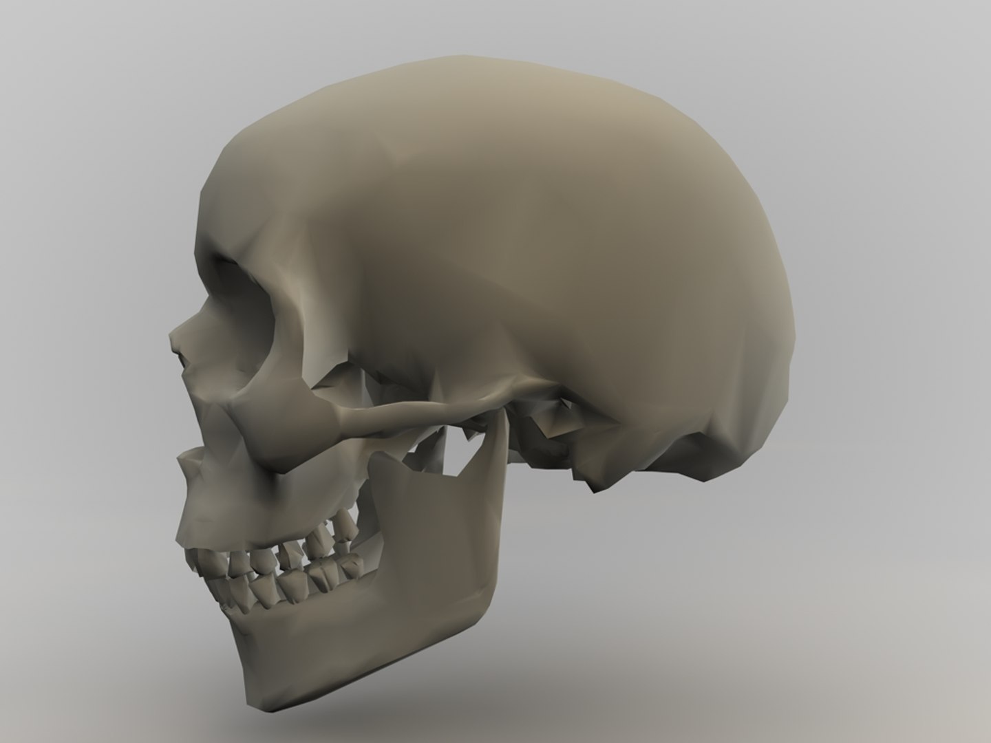 free c4d mode anatomy body https://p.turbosquid.com/ts-thumb/Rg/Zy7l7t/4GDcF3J9/3/jpg/1313700693/1920x1080/fit_q87/d19412efe3485aa260528d444b6119fa7f2e04fd/3.jpg