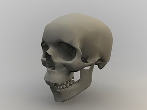 Skull
