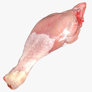 Chicken Drumstick 02