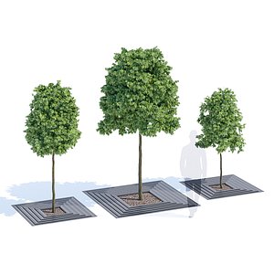 3D arboris tree-grill metalco model