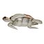 3D Sea turtle