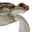 3D Sea turtle