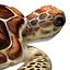 3D Sea turtle