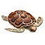 3D Sea turtle