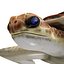 3D Sea turtle