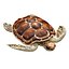 3D Sea turtle