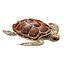 3D Sea turtle
