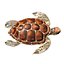 3D Sea turtle