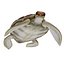 3D Sea turtle
