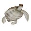 3D Sea turtle