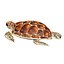 3D Sea turtle