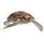 3D Sea turtle