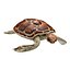 3D Sea turtle