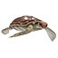 3D Sea turtle