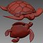 3D Sea turtle