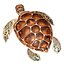 3D Sea turtle