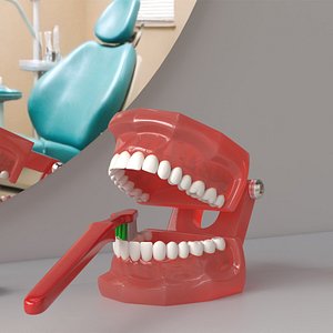 Dental Model with Toothbrush