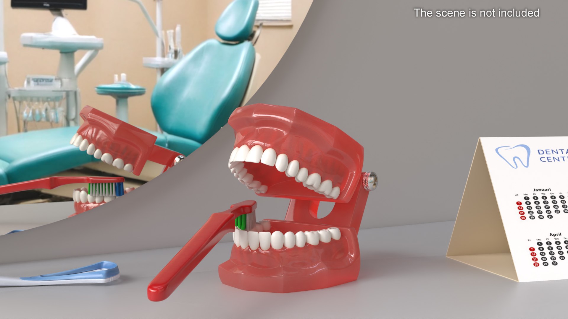 3D Dental Model With Toothbrush - TurboSquid 2343336