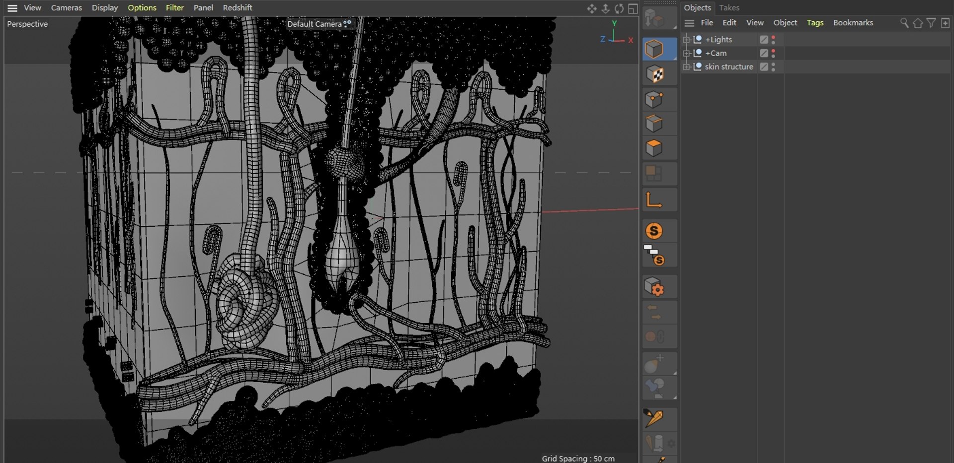 3D Skin Structure Model - TurboSquid 2431692