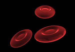 Blood Cells