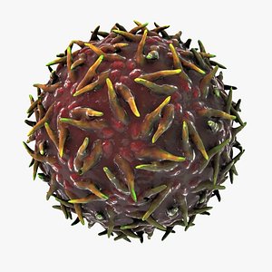 3dsmax adeno-associated virus