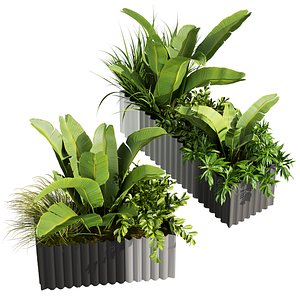 3D plant vol 835 - box - banana - bush