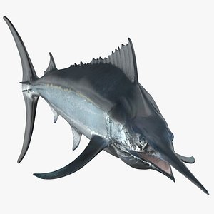 black marlin 3D model