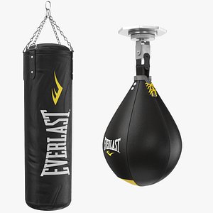 Two Punching Bags