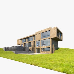 Modern House 6(1)