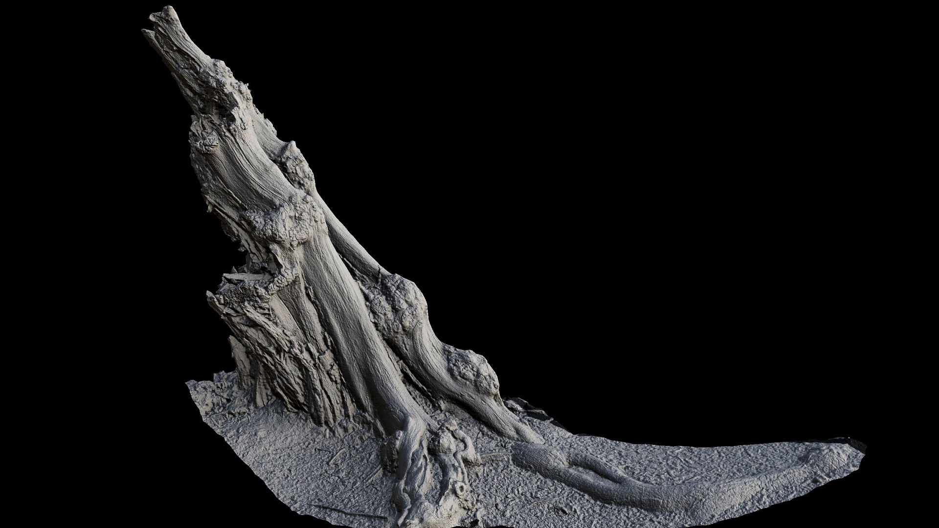 3D Old Tree Broken Stump Photogrammetry Model - TurboSquid 2375154