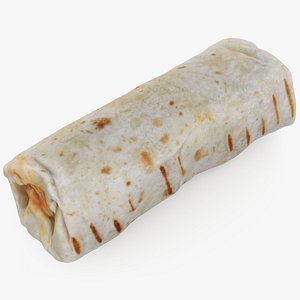 Sandwich Wrap model