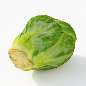 Brussels Sprout 5