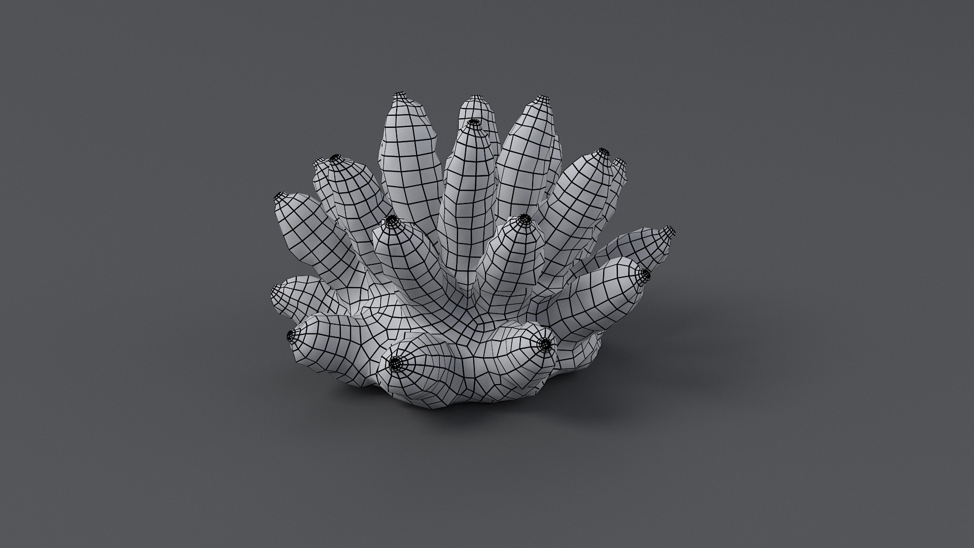 Acropora Coral S 01 3D https://p.turbosquid.com/ts-thumb/Rh/TjFf31/VW/acropora_s_01_08/jpg/1765616679/1920x1080/fit_q87/a4f84c9360fcfbb8614f9209bfdb545f9ac90d7f/acropora_s_01_08.jpg
