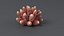 Acropora Coral S 01