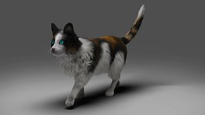 3D model Fur Calico Cat Rigged  01