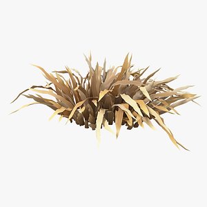 Cartoon Dry Grass 09 3D model